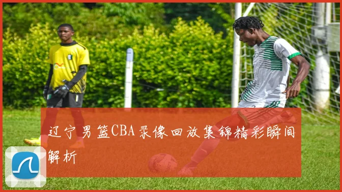 辽宁男篮CBA录像回放集锦精彩瞬间解析