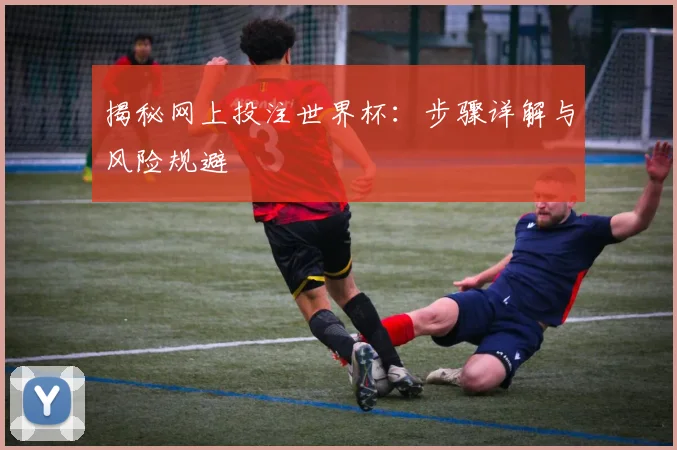 揭秘网上投注世界杯:步骤详解与风险规避