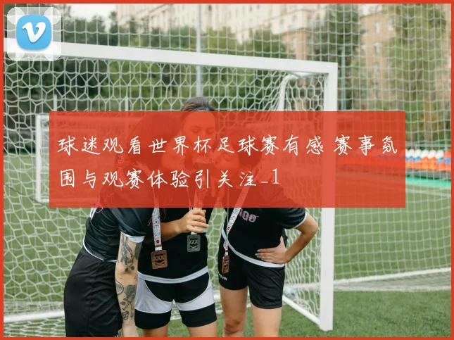 球迷观看世界杯足球赛有感 赛事氛围与观赛体验引关注_1