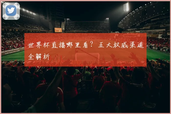 世界杯直播哪里看？五大权威渠道全解析