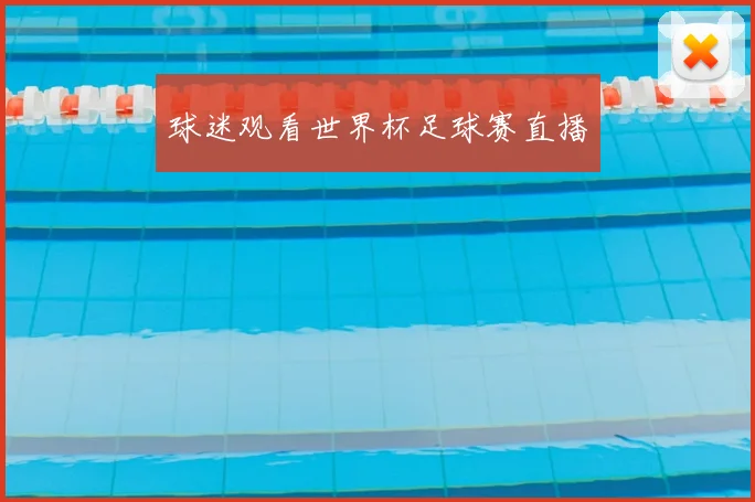 球迷观看世界杯足球赛直播