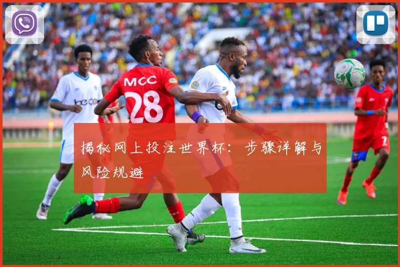 揭秘网上投注世界杯:步骤详解与风险规避