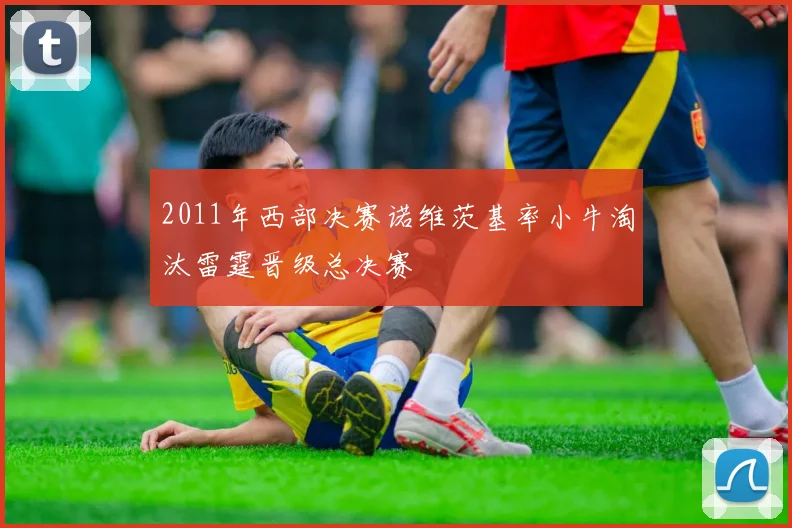 2011年西部决赛诺维茨基率小牛淘汰雷霆晋级总决赛