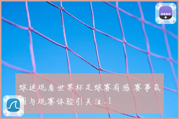 球迷观看世界杯足球赛有感 赛事氛围与观赛体验引关注_1