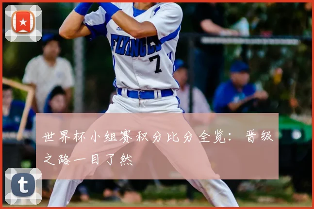 世界杯小组赛积分比分全览:晋级之路一目了然