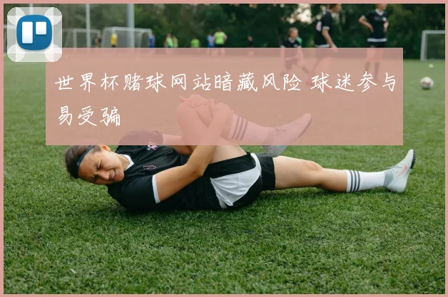 世界杯赌球网站暗藏风险 球迷参与易受骗