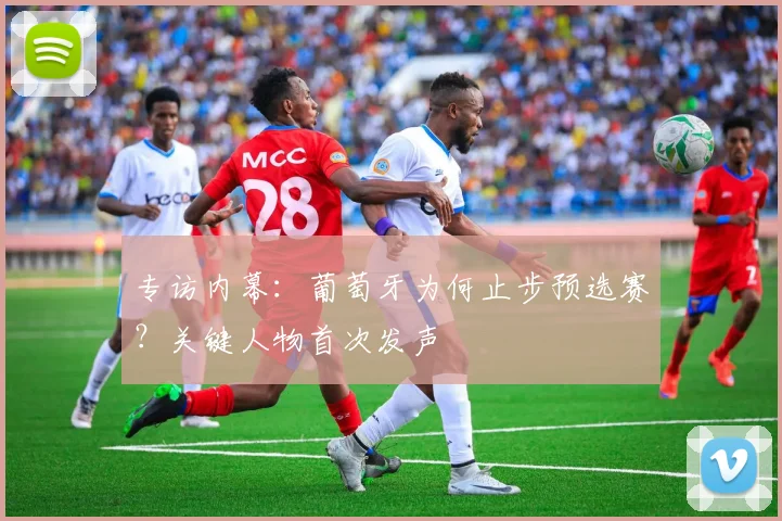 专访内幕:葡萄牙为何止步预选赛?关键人物首次发声
