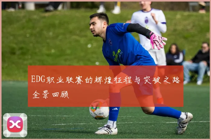 EDG职业联赛的辉煌征程与突破之路全景回顾