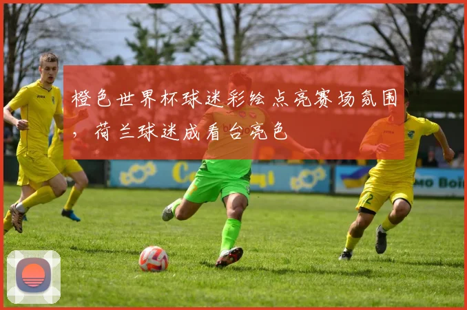 橙色世界杯球迷彩绘点亮赛场氛围,荷兰球迷成看台亮色