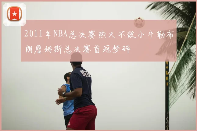 2011年NBA总决赛热火不敌小牛勒布朗詹姆斯总决赛首冠梦碎