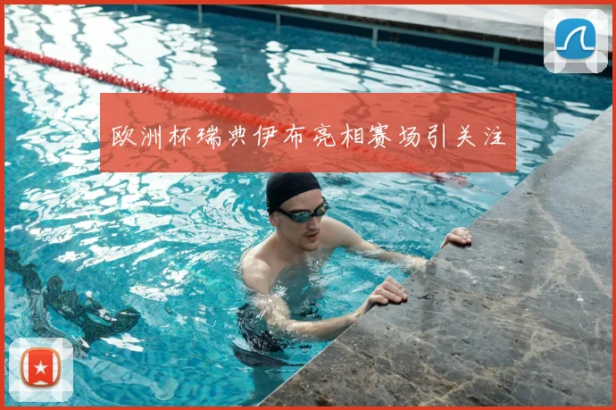 欧洲杯瑞典伊布亮相赛场引关注